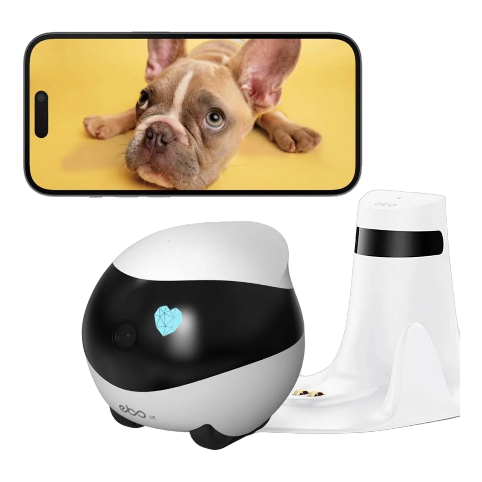 EBO SE — Compañero robot para tus mascotas