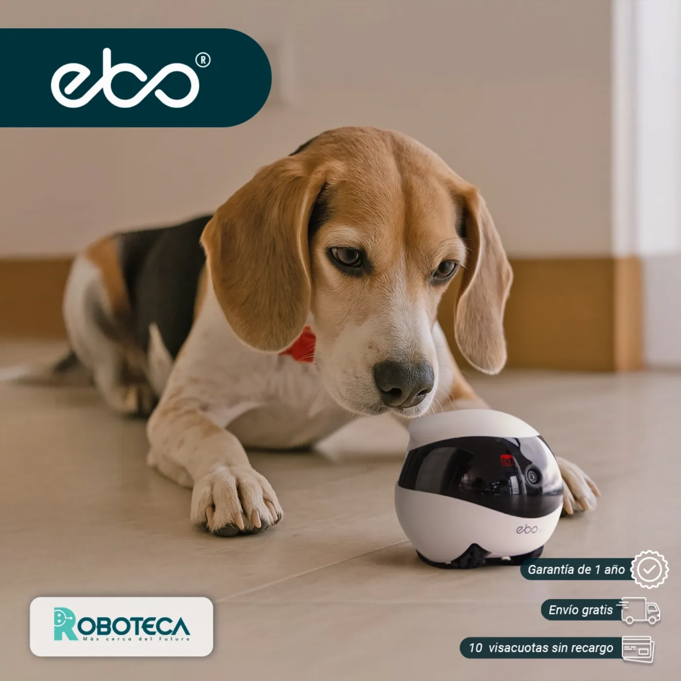 EBO SE con perro