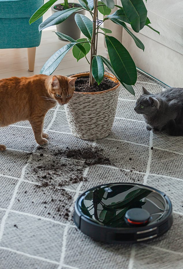 robot-vacuum-cleaner-cleaning-dirty-carpet-and-cat-at-home-next-to-plant
